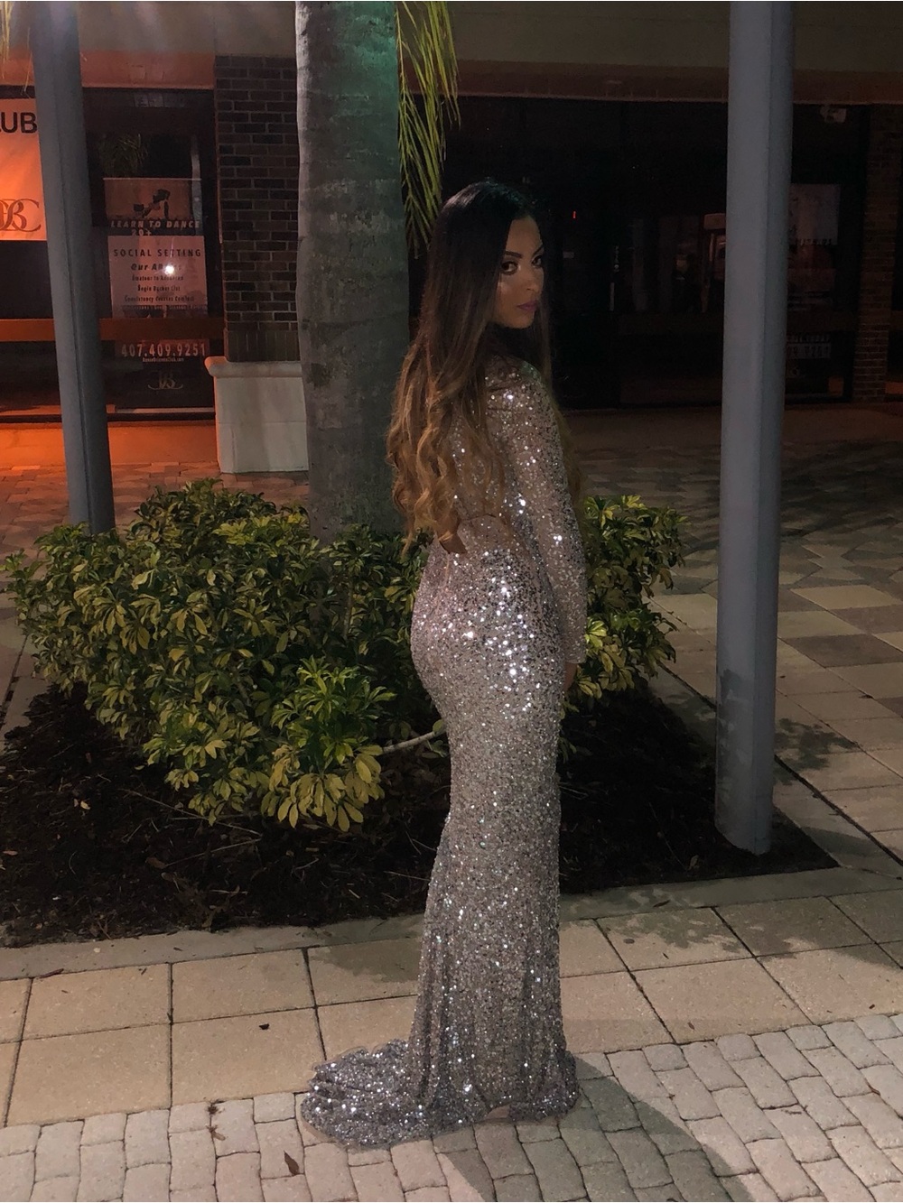 Silver Sequin Long-Sleeve Evening Gown